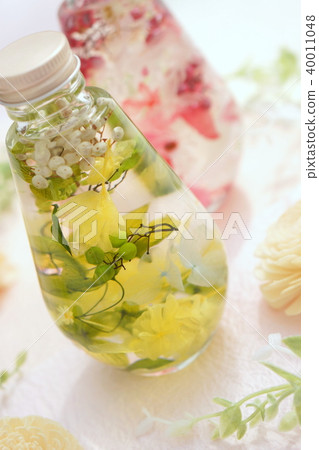 植物標本室 40011048