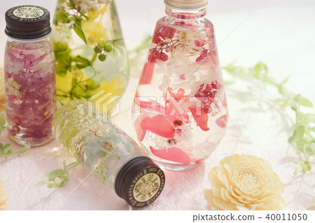 植物標本室 40011050