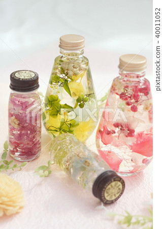 植物標本室 40011052