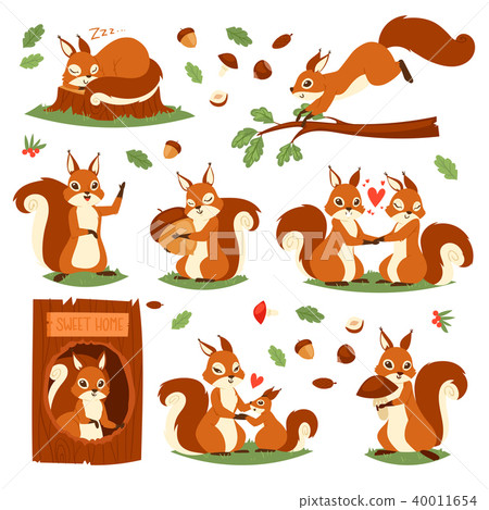 Squirrel vector cute animal jumping or sleeping in wildlife and lovely animalistic couple Squirrel vector cute animal jumping or sleeping in wildlife and lovely animalistic couple 40011654