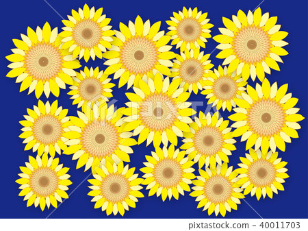 Sun Flower  40011703