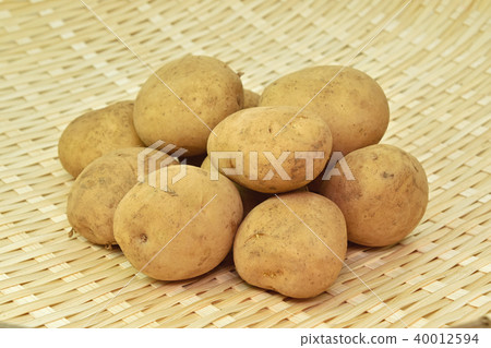 Red soil new potato 40012594