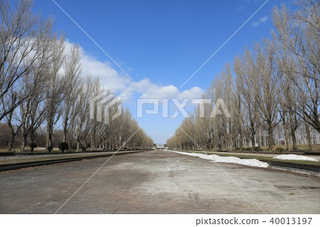 Kanal Maeda Forest Park without spring water Kanal Maeda Forest Park without spring water 40013197