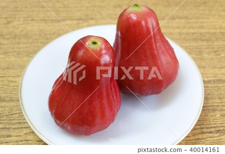 Two Red Water Apples on White Plate Two Red Water Apples on White Plate 40014161