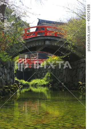 Kamigamo神社 40014386