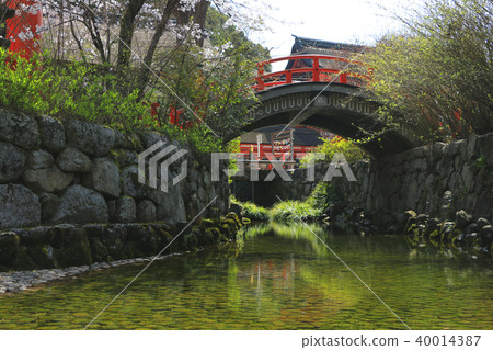 Kamigamo神社 Kamigamo神社 40014387