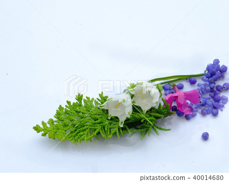 Flowers Flowers 40014680