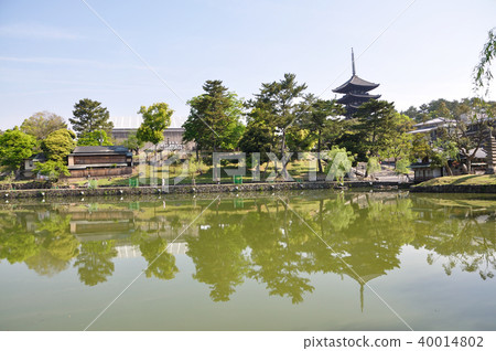興福寺 興福寺 40014802