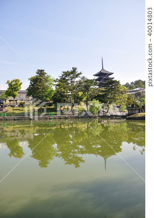 興福寺 興福寺 40014803