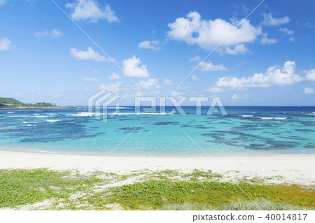 Amami Oshima Tomori Coast 40014817