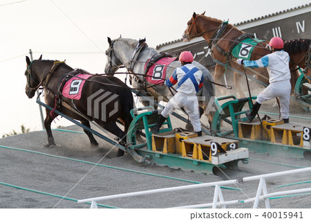 Banged horse race Banged horse race 40015941