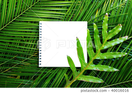 isolated note book on tropical palm leaves branch 40016016