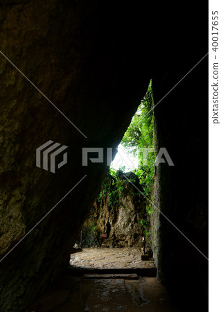 Funami Utagi 40017655