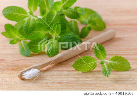 alternative natural wood toothbrush and mint on wooden background alternative natural wood toothbrush and mint on wooden background 40019165