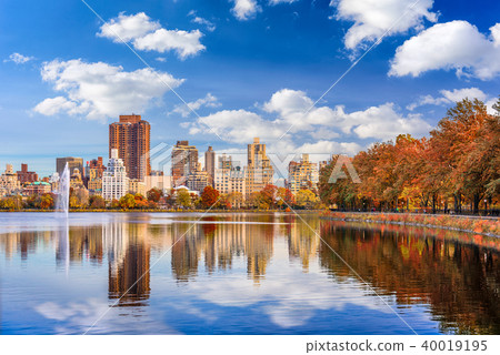 Central Park, New York 40019195