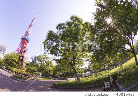 Tokyo Tower and fresh green, Tokyo with blue sky Tokyo Tower and fresh green, Tokyo with blue sky 40019458