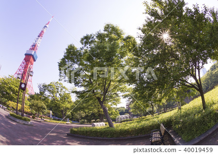 Tokyo Tower and fresh green, Tokyo with blue sky 40019459