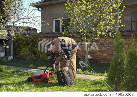 Man collecting grass after mowing it Man collecting grass after mowing it 40020208