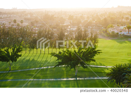 Juicy green of golf course during sunset Juicy green of golf course during sunset 40020348