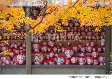 Katsuoji Temple, autumn leaves and Daruma Katsuoji Temple, autumn leaves and Daruma 40020578
