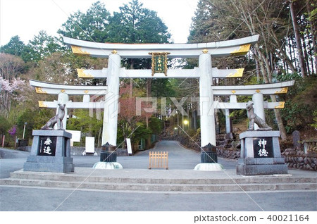 Chichibu, Mimine Shrine Mitsutori 40021164