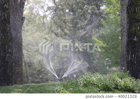 Sprinkler watering the water Sprinkler watering the water 40021329