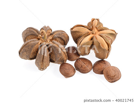 sacha inchi seed on white background 40021745