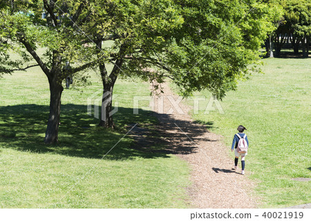 走在公園散步的婦女 走在公園散步的婦女 40021919