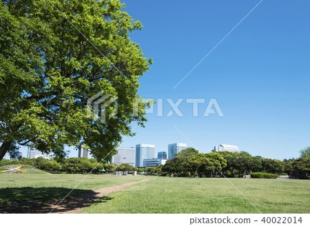 A large park where a skyscraper can be seen 40022014