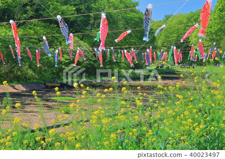 谷的強姦領域（Satoyama庭院） 40023497