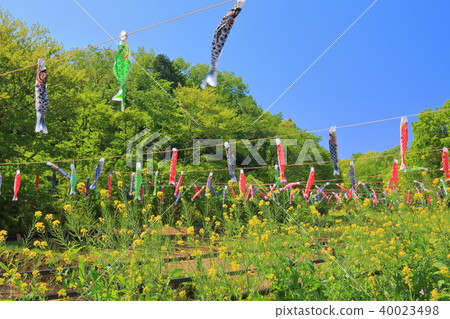 谷的強姦領域（Satoyama庭院） 40023498