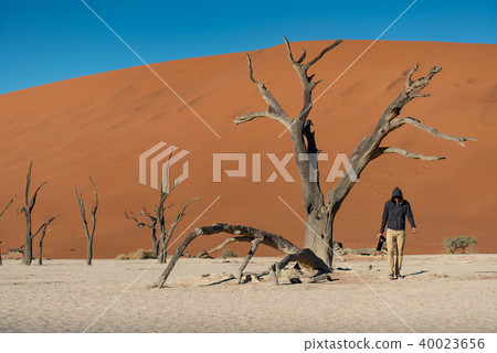 Male photographer standing in Deadvlei, Namibia 40023656