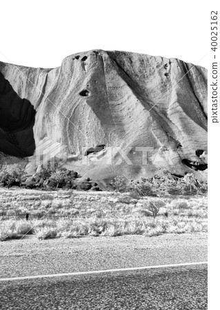 in  ayers rock park  an 40025162