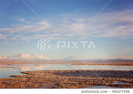 atacama desert salt lagoons 40025486