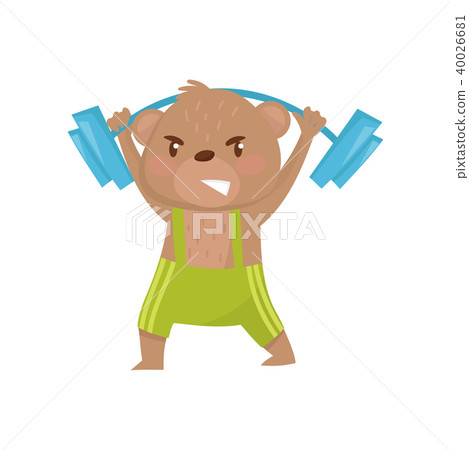 Funny little bear holding barbell over his head. Physical activity and healthy lifestyle. Wild Funny little bear holding barbell over his head. Physical activity and healthy lifestyle. Wild 40026681