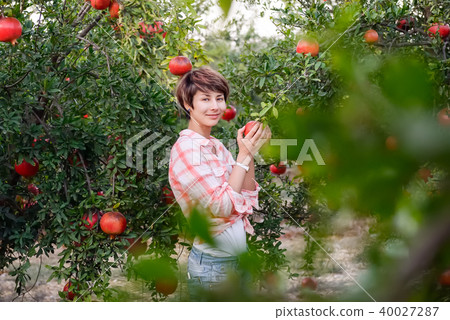Portrait of young woman picking pomegrate fruits Portrait of young woman picking pomegrate fruits 40027287