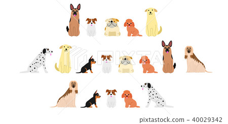 Various dog border set 2 40029342