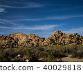 Joshua tree national park desert 40029818