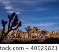 Joshua tree national park desert 40029821