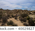 Joshua tree national park desert 40029827