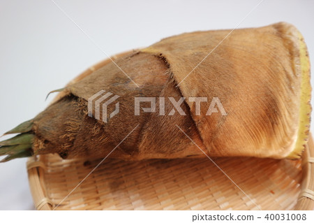 bamboo shoots bamboo shoots 40031008