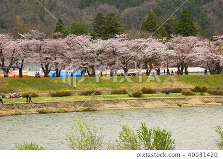 Kadokan Sakura 40031420