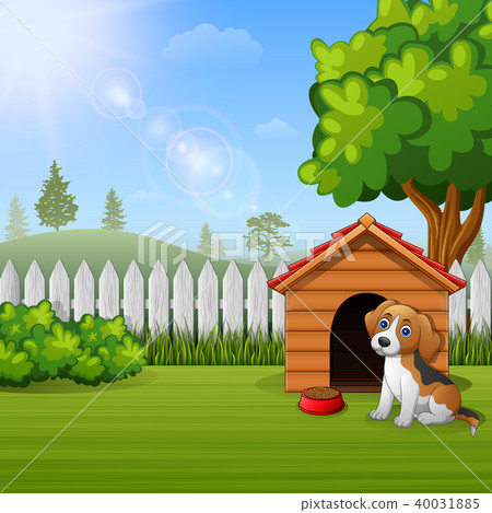Cute dog sitting in front of a kennel in a garden Cute dog sitting in front of a kennel in a garden 40031885