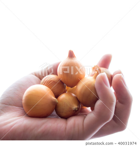 拿著pekolos的手 40031974