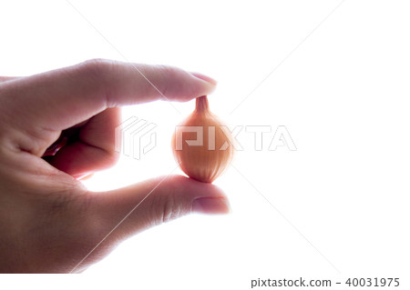 拿著pekolos的手 40031975