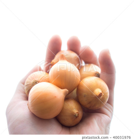 拿著pekolos的手 40031976