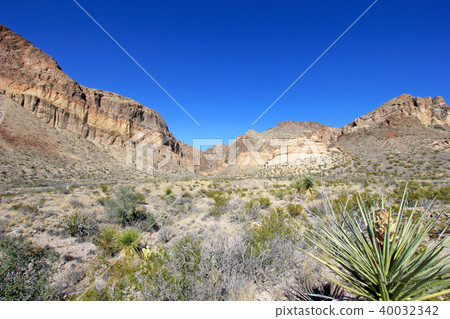 Mountain landscape, Big Bend National Park, USA 40032342
