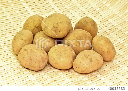 Red soil new potato 40032383