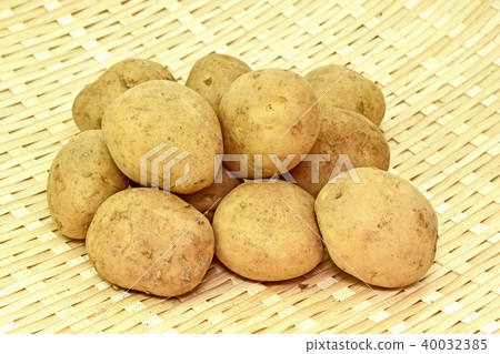 Red soil new potato 40032385