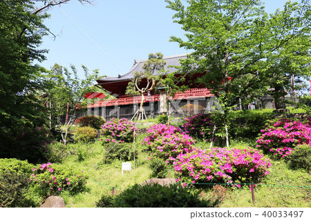 Ueno Kanei-ji Temple Shimizu Kannondo Tsuki no Matsu Ueno Kanei-ji Temple Shimizu Kannondo Tsuki no Matsu 40033497